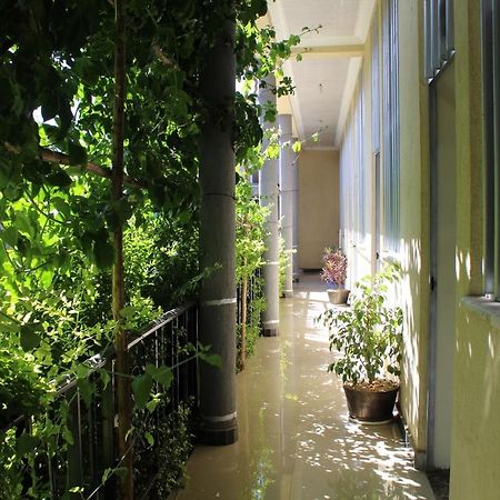 Bahir Dar Backpackers Hostel Eksteriør bilde